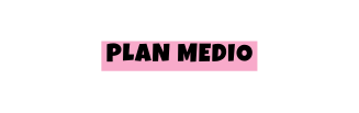 PLAN MEDIO